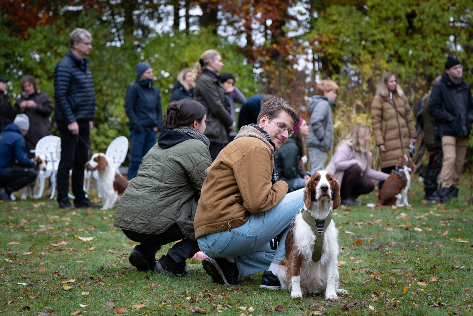 Kennel Wallova - Kennelträff 2025