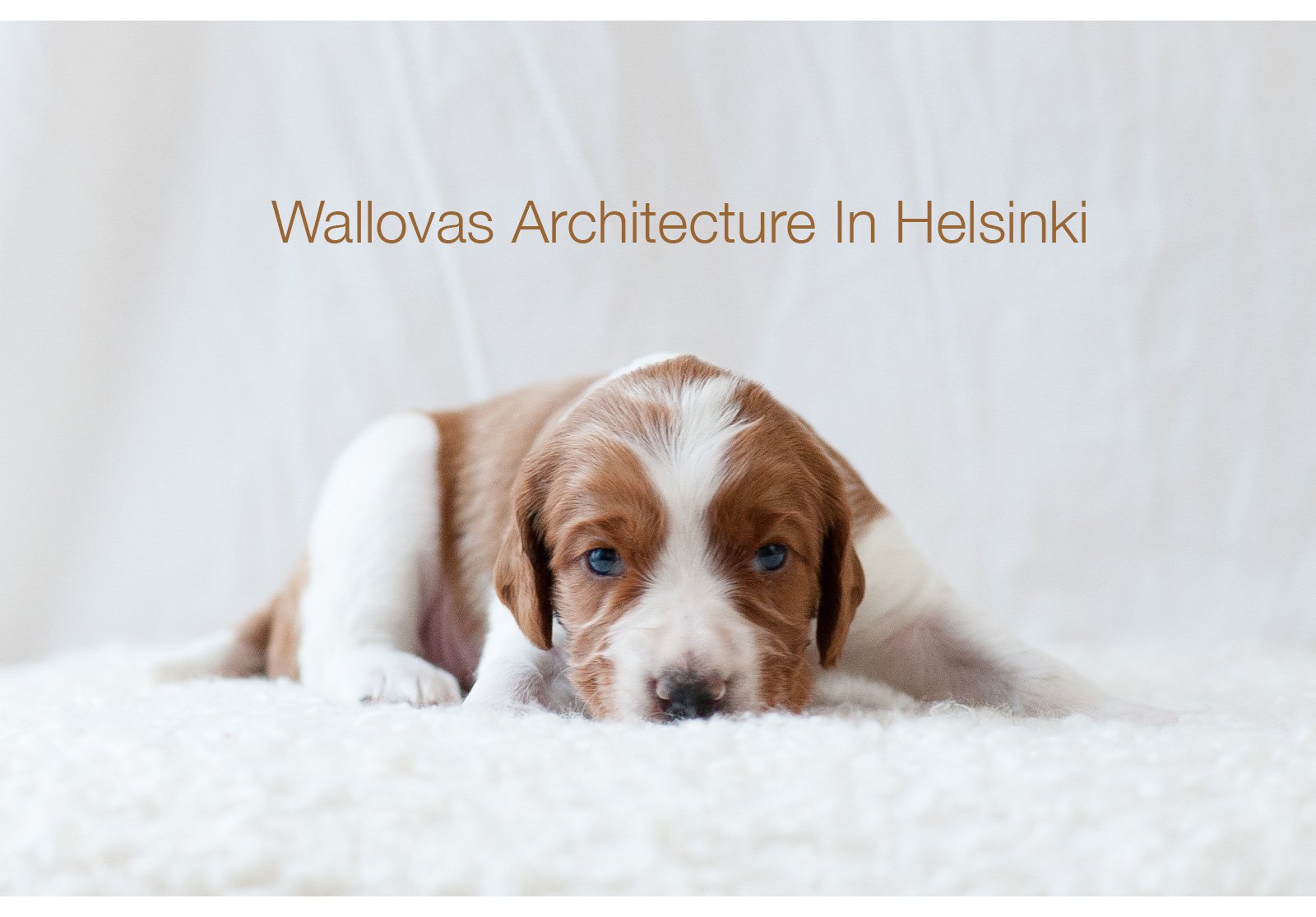 Wallovas Architecture in Helsinki